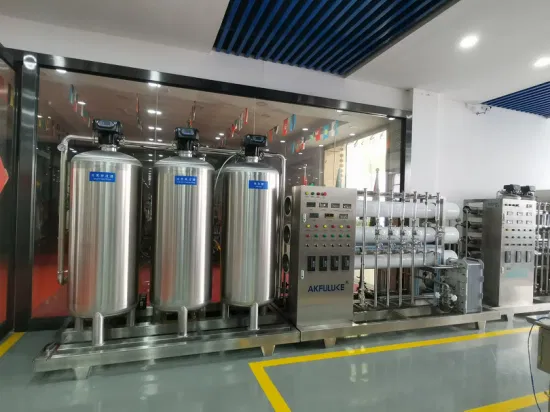 500 Lph RO Water Plant Machine Seawater Filtering RO Machine for Water Treatment